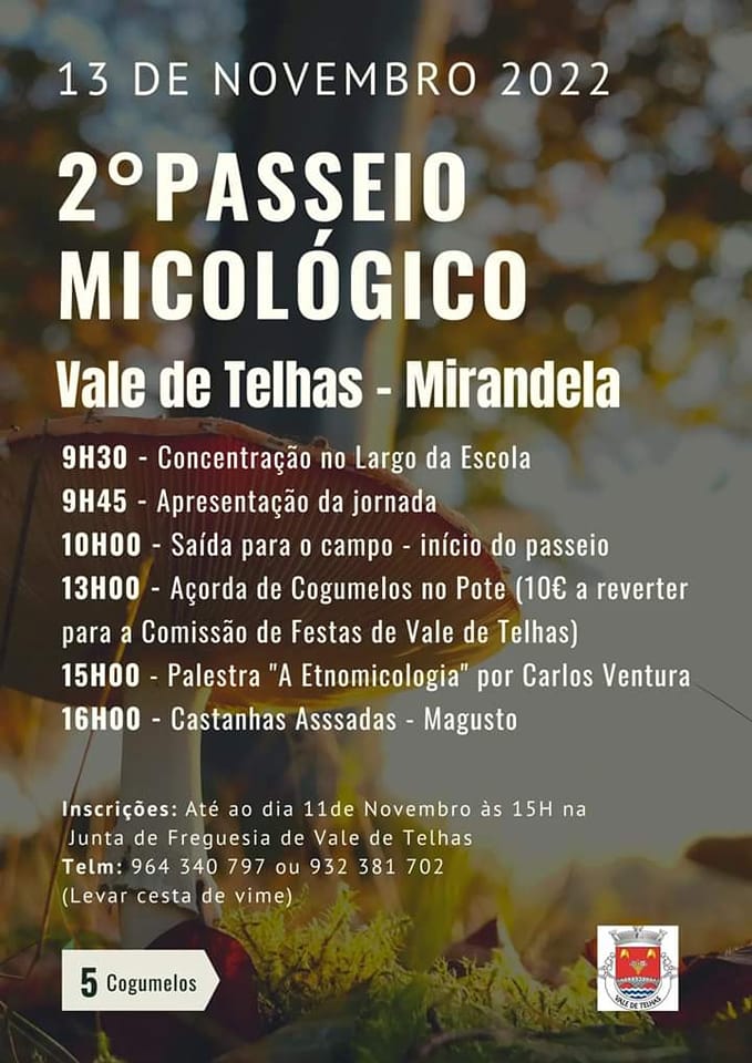 ii_passeio_micologico_de_vale_de_telhas