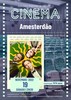 thumb_cartaz_filme_amestradao