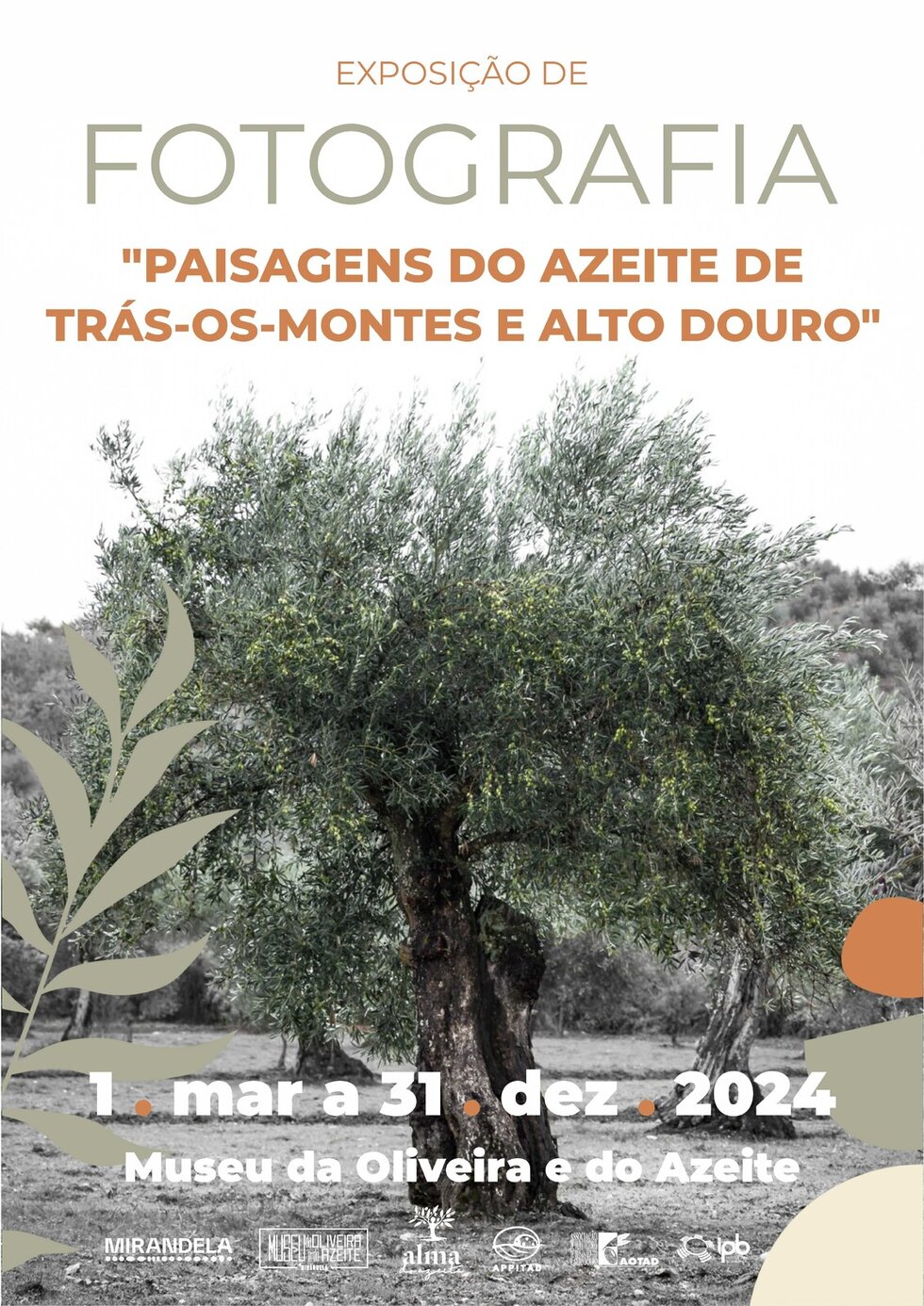 cartaz__exposicao_paisagens_azeite_2024