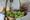 tiny_thumb_feira_figo_abreiro