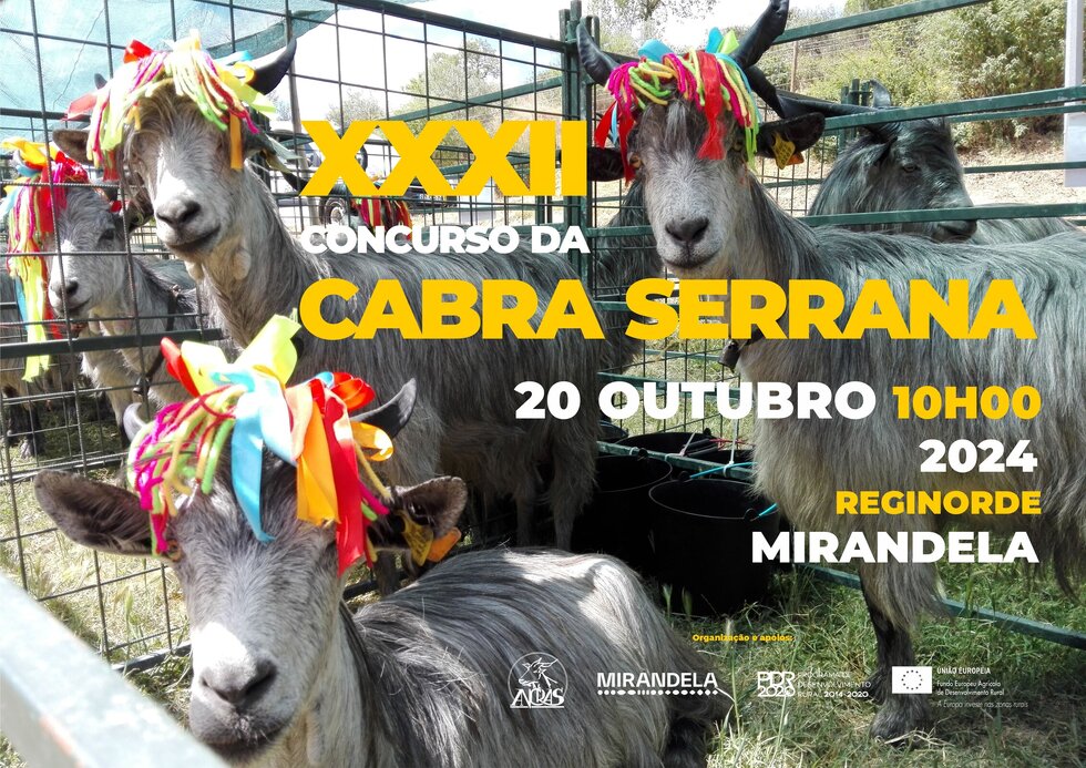 cartaz_xxxii_concurso_cabra_serrana_24