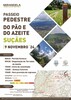 thumb_cartaz_passeio_pedestre_sucaes_24