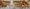 tiny_thumb_magusto_lions_club