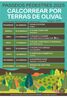 thumb_calcorrear_terras_de_olival