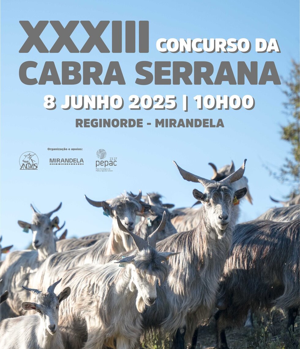 cartaz_xxxiii_concurso_cabra_serrana_25