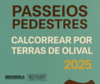 thumb_pp_calcorrear