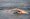 tiny_thumb_open_2025