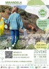 thumb_voluntariado_mirandela