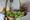 tiny_thumb_feira_figo_abreiro