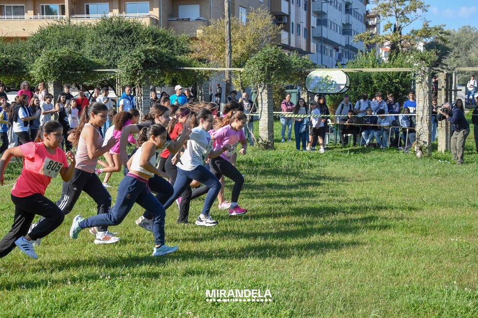 corta_mato