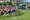 tiny_thumb_corta_mato