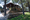 tiny_thumb_DSC_2236