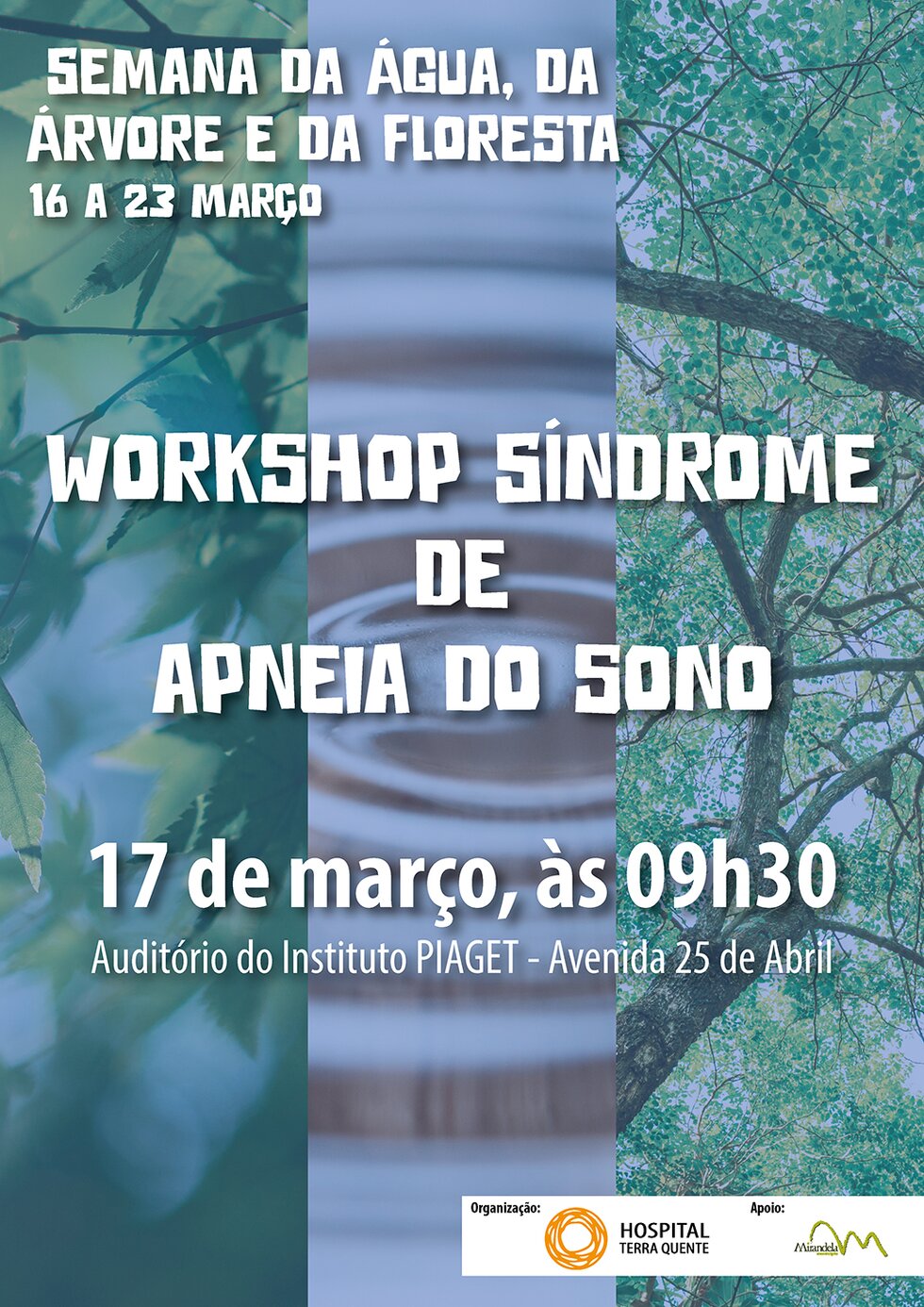 17_MARC_Wokshop_APNEIA_SONO-01